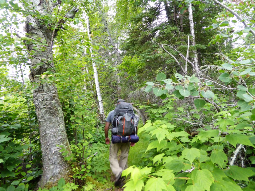 backcountry hiking on the Superior Hiking Trail